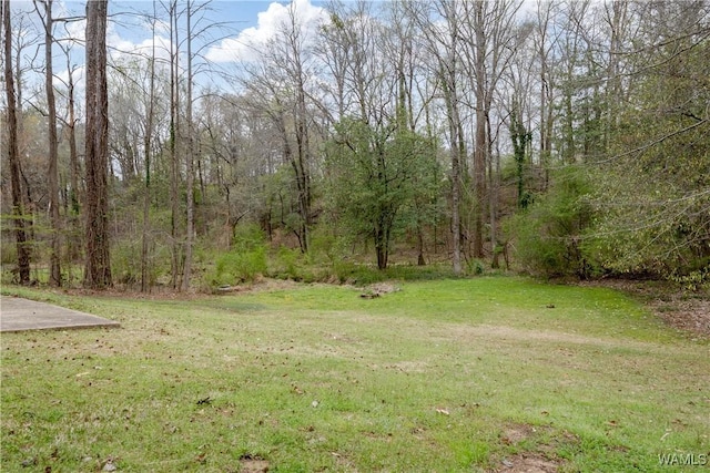 4800 Emerald Bay Dr, Northport, AL 35473 - photo 36