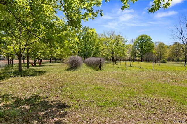 view of yard featuring a rural view