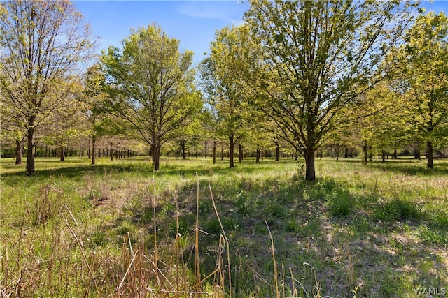 view of nature