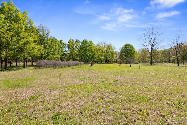 view of yard featuring a rural view