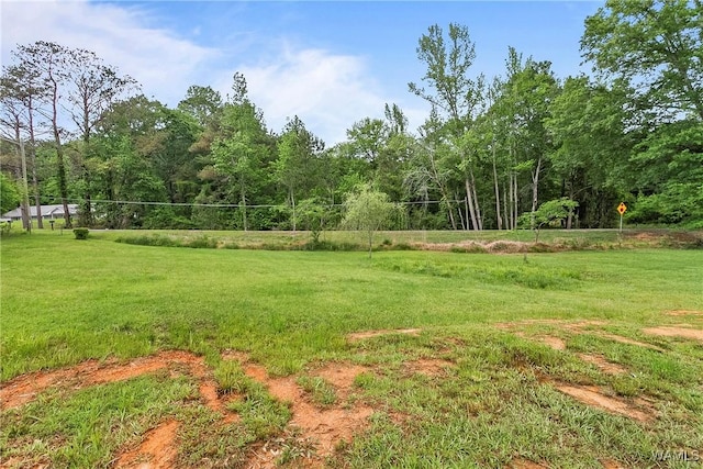 1730 Temple Ave S, Fayette, AL 35555 - photo 59