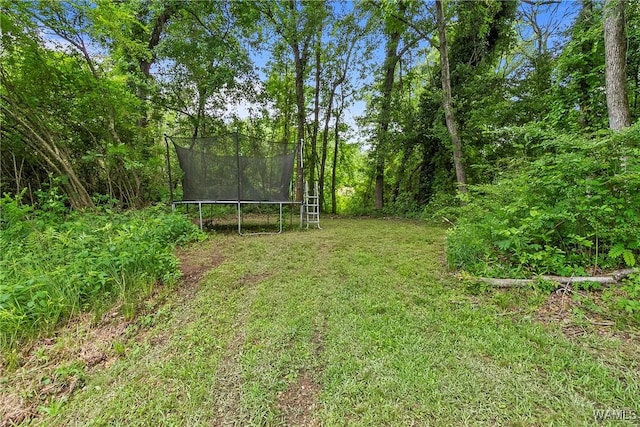 1730 Temple Ave S, Fayette, AL 35555 - photo 57