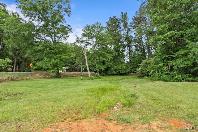 1730 Temple Ave S, Fayette, AL 35555 - photo 58