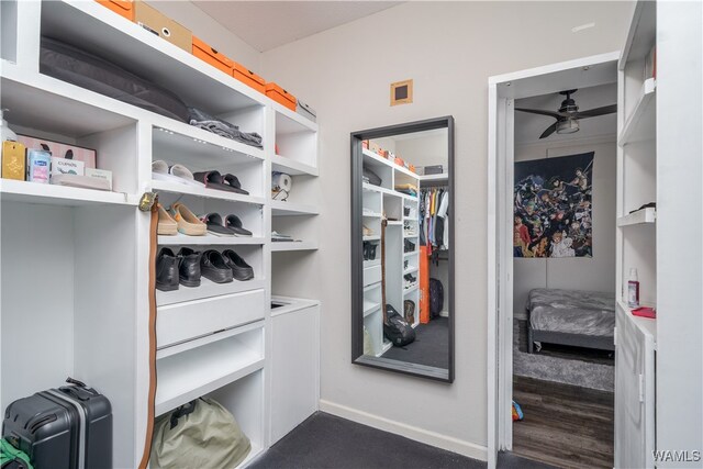 walk in closet featuring ceiling fan and dark wood-type flooring