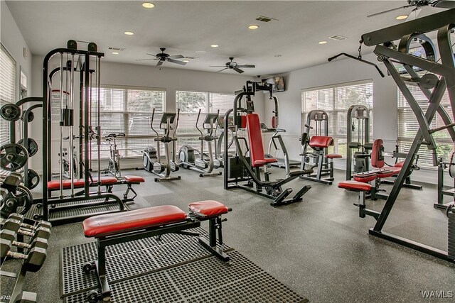 exercise room featuring ceiling fan