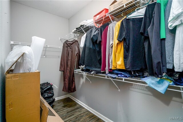 walk in closet with wood-type flooring