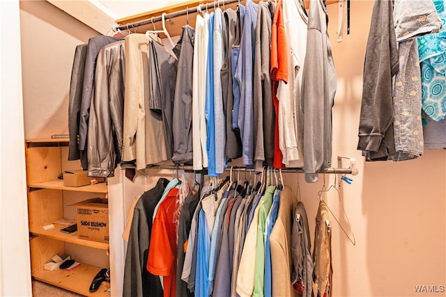 view of walk in closet