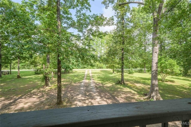 505 Jennings Ferry Rd, Akron, AL 35441 - photo 24