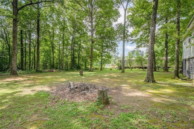 505 Jennings Ferry Rd, Akron, AL 35441 - photo 30