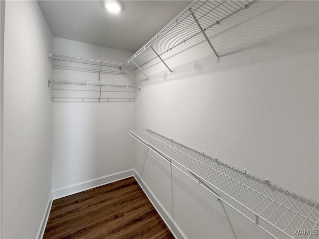 spacious closet with dark wood-type flooring