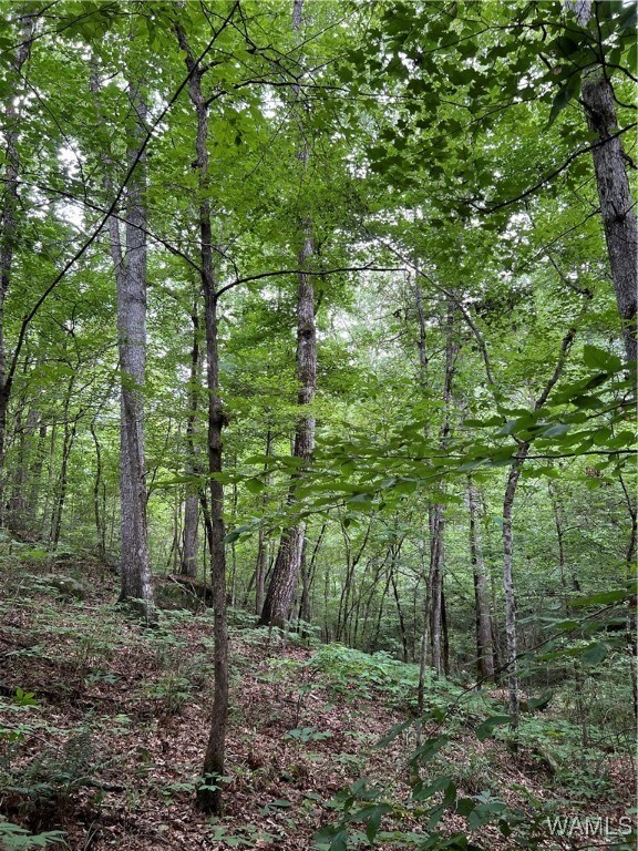 0 Mountain View Dr, Northport, AL 35475
