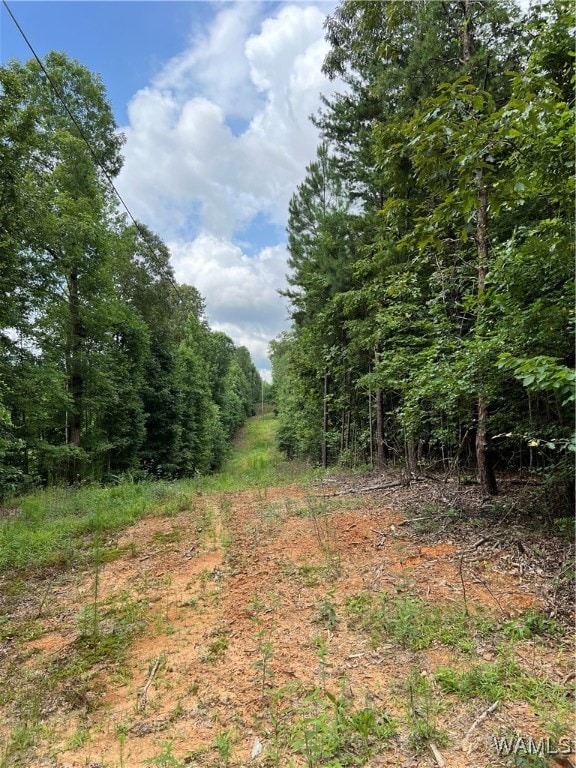0 Mountain View Dr, Northport, AL 35475