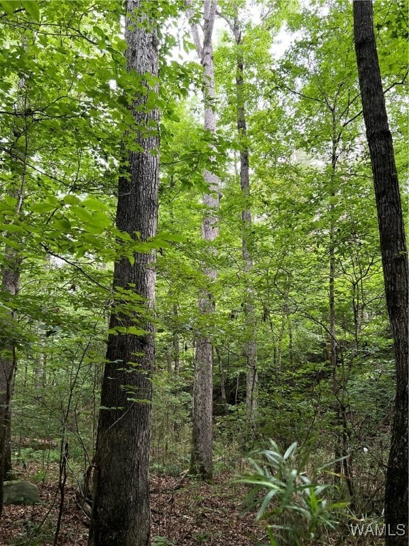 0 Mountain View Dr, Northport, AL 35475