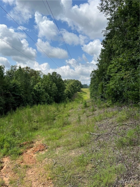 0 Mountain View Dr, Northport, AL 35475