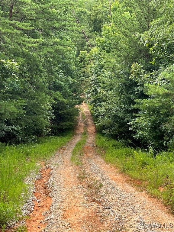 0 Mountain View Dr, Northport, AL 35475