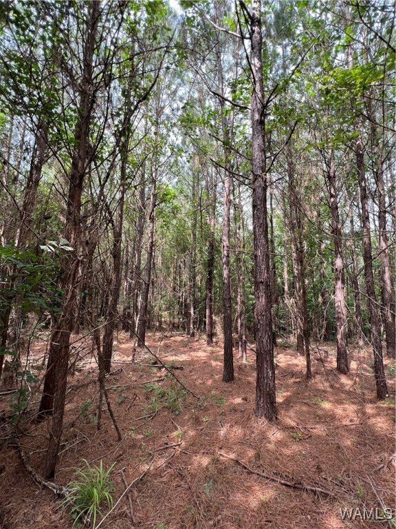 0 Mountain View Dr, Northport, AL 35475