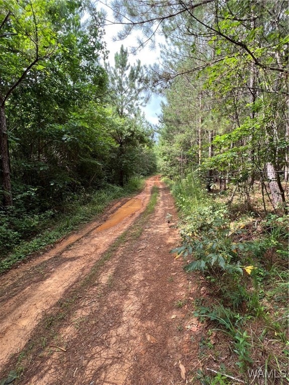 0 Mountain View Dr, Northport, AL 35475