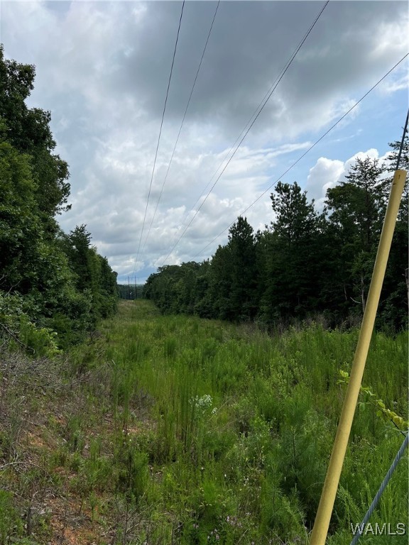 0 Mountain View Dr, Northport, AL 35475