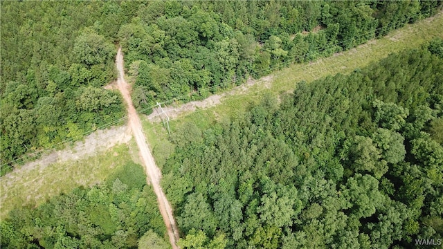 0 Mountain View Dr, Northport, AL 35475