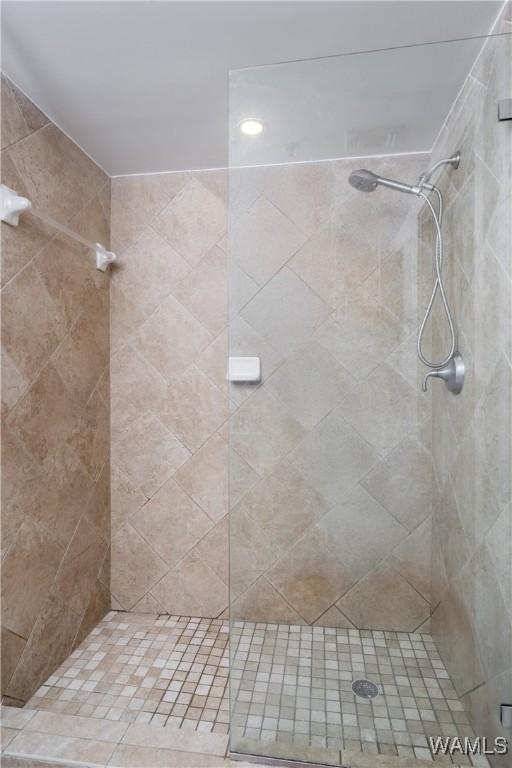 1018 Hackberry Ln Unit 301, Tuscaloosa, AL 35401 - full bath with tiled shower