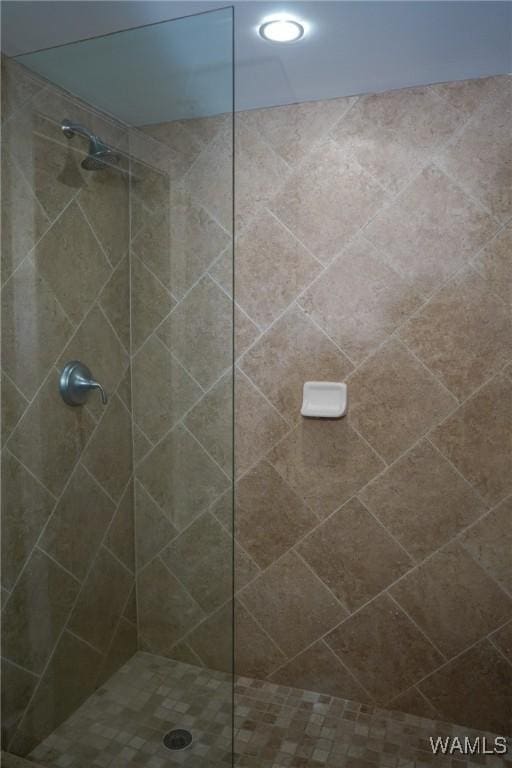 1018 Hackberry Ln Unit 113, Tuscaloosa, AL 35401 - full bath with a walk in shower