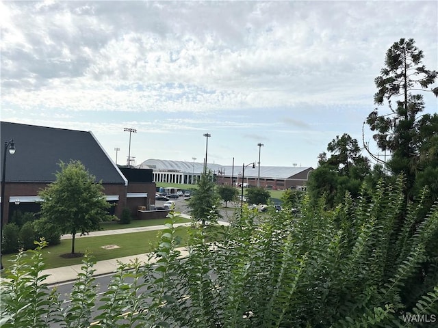 1018 Hackberry Ln Unit 113, Tuscaloosa, AL 35401 - view of yard