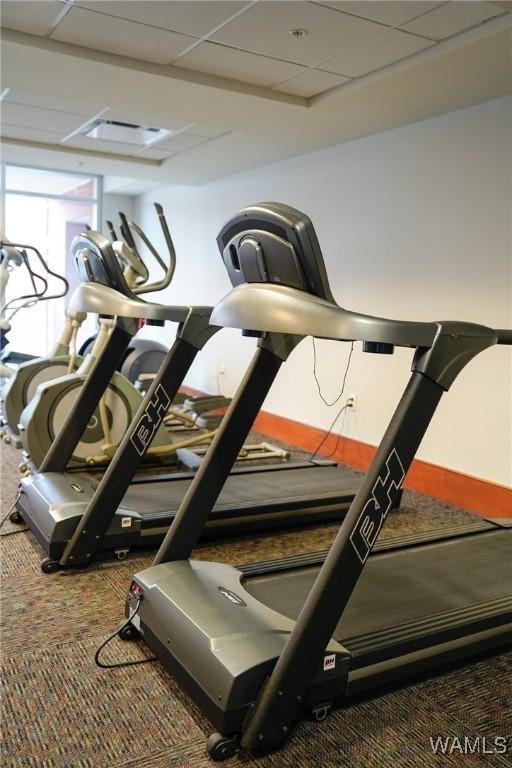 1018 Hackberry Ln Unit 113, Tuscaloosa, AL 35401 - workout area with carpet and a paneled ceiling