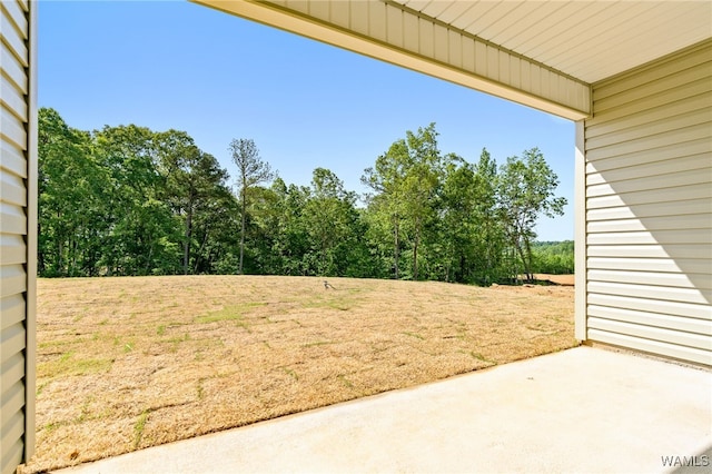 view of yard featuring a patio area