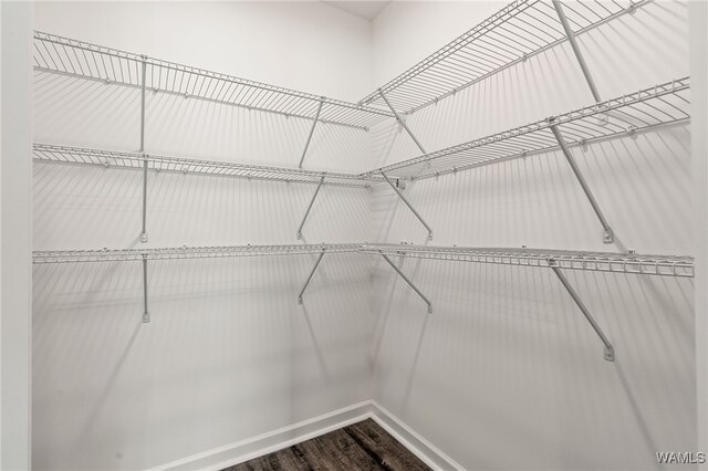 spacious closet featuring hardwood / wood-style floors