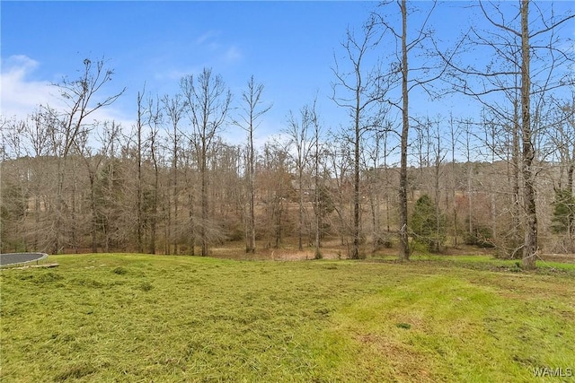 20442 Old Jasper Rd, Northport, AL 35475 - view of yard featuring a wooded view