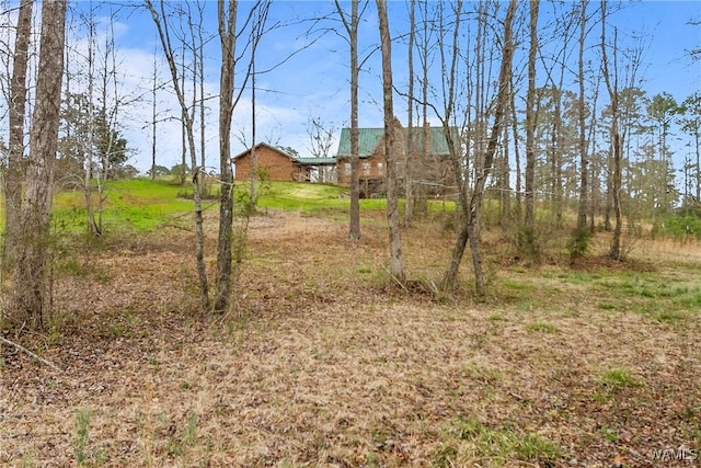 20442 Old Jasper Rd, Northport, AL 35475 - view of yard