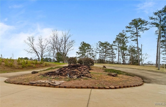 20442 Old Jasper Rd, Northport, AL 35475 - surrounding community with driveway