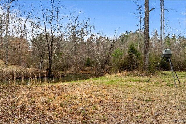 20442 Old Jasper Rd, Northport, AL 35475 - view of landscape with a forest view