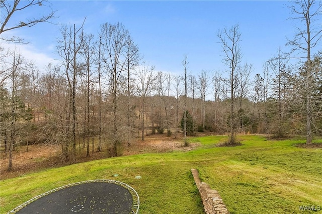 20442 Old Jasper Rd, Northport, AL 35475 - view of yard featuring a view of trees