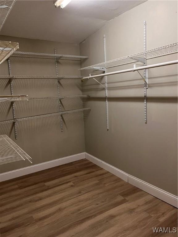 walk in closet with hardwood / wood-style flooring