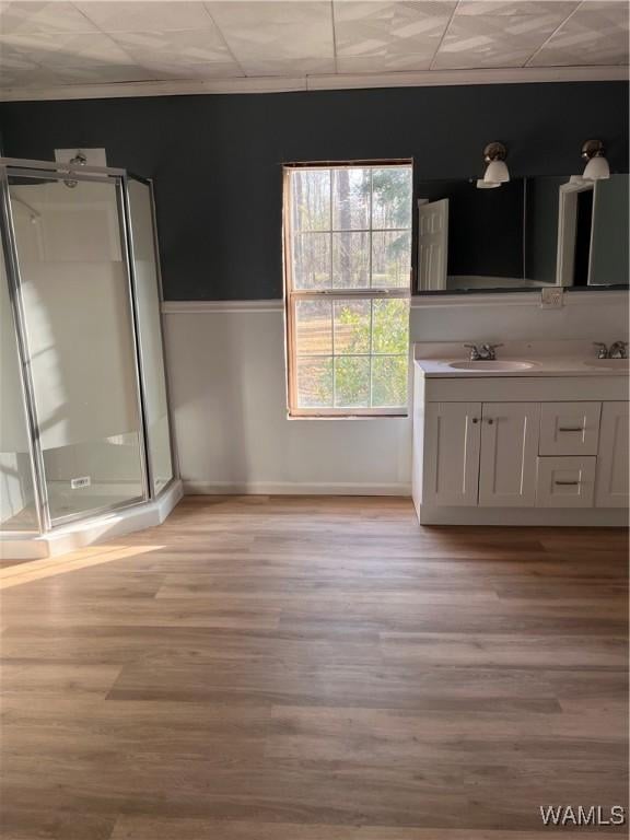 bathroom featuring walk in shower, vanity, and wood-type flooring