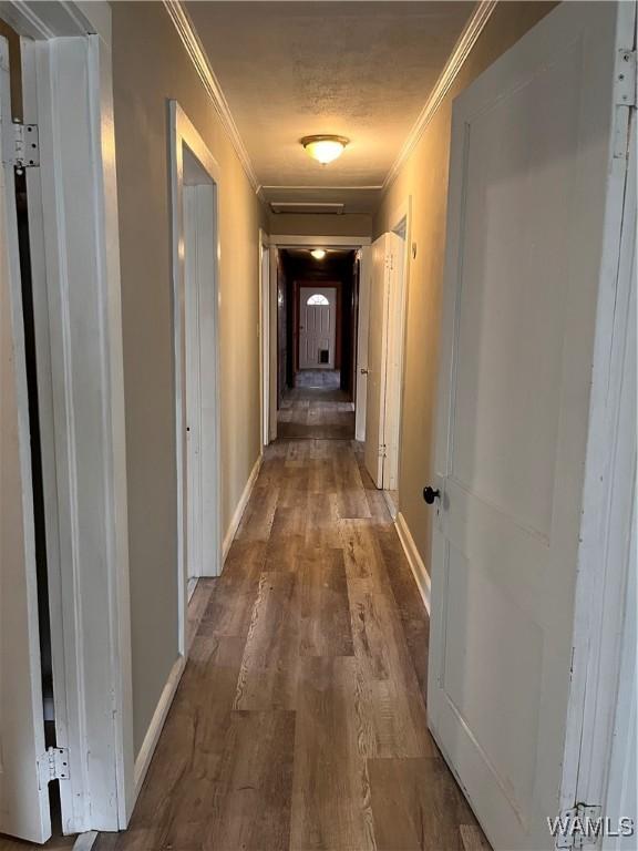 hallway featuring wood-type flooring and ornamental molding