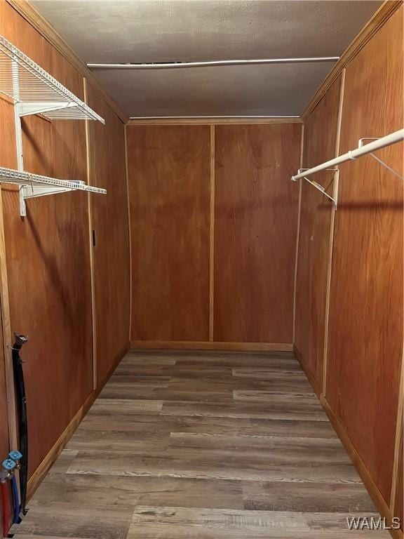 spacious closet featuring dark hardwood / wood-style flooring