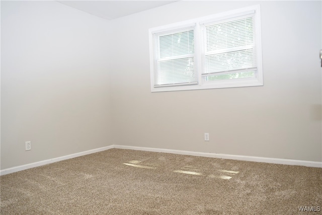 unfurnished room featuring carpet flooring