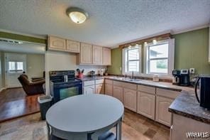 kitchen with sink, black appliances, light brown cabinets, a textured ceiling, and light hardwood / wood-style flooring