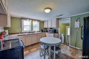 kitchen featuring sink, a textured ceiling, and black appliances