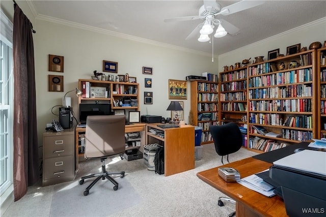 1137 Germantown Rd, Tuscaloosa, AL 35406 - carpeted home office featuring ornamental molding and a ceiling fan