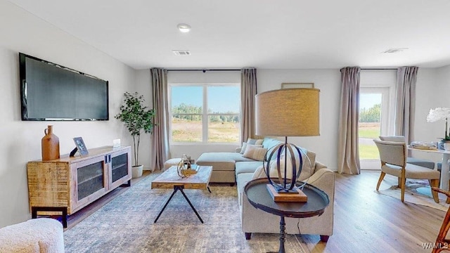 living room featuring plenty of natural light and hardwood / wood-style floors