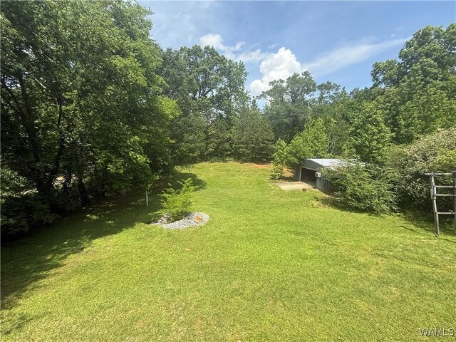 7600 Keenes Mill Rd, Cottondale, AL 35453 - photo 3