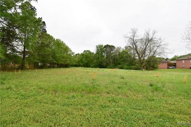 6908 Old Greensboro Rd, Tuscaloosa, AL 35405 - photo 5