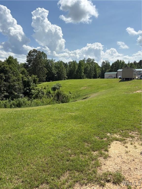 11783 Holt Lock And Dam Rd, Cottondale, AL 35453 - photo 26