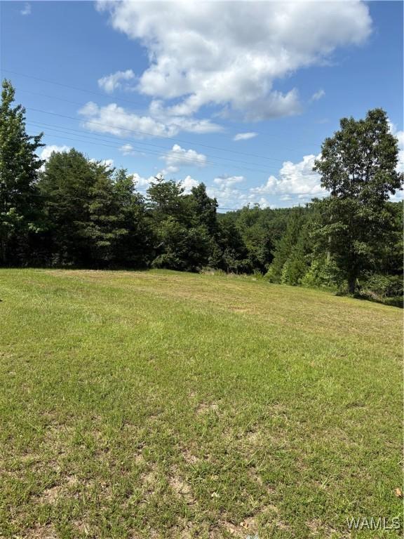 11783 Holt Lock And Dam Rd, Cottondale, AL 35453 - photo 20