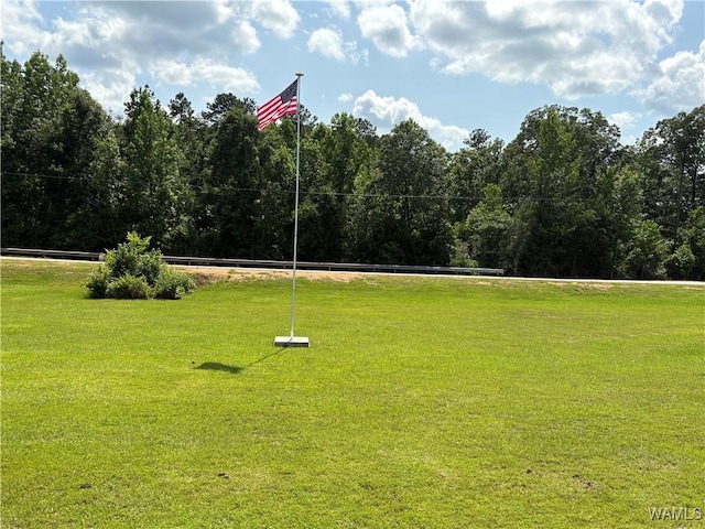 11783 Holt Lock And Dam Rd, Cottondale, AL 35453 - photo 29