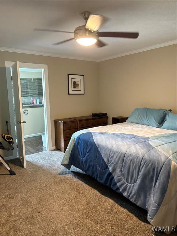 11783 Holt Lock And Dam Rd, Cottondale, AL 35453 - photo 5