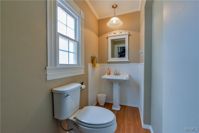 bathroom featuring crown molding, toilet, sink, and hardwood / wood-style flooring